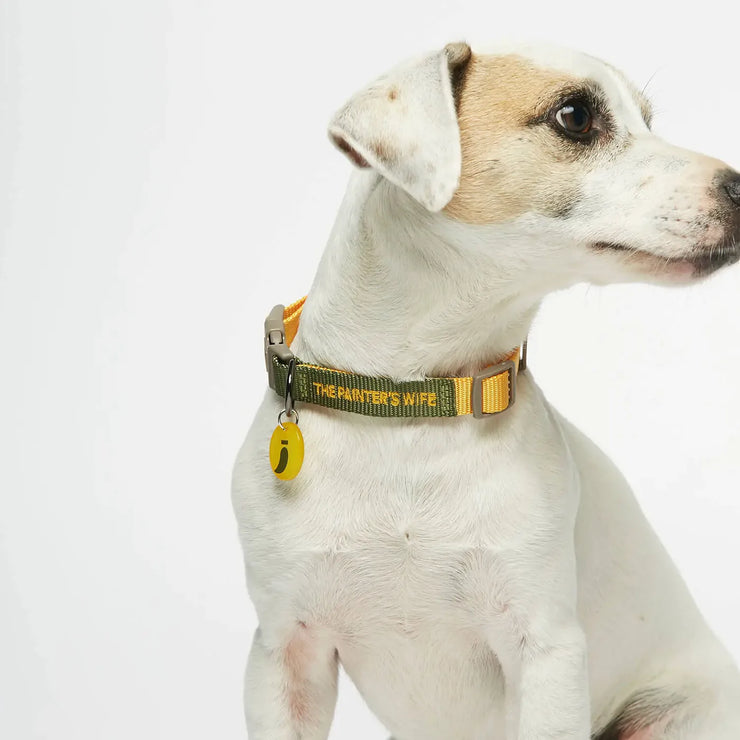 Sonia Collar - Yellow and Forest green