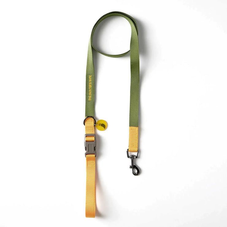 Sonia Leash - Yellow and Forest green