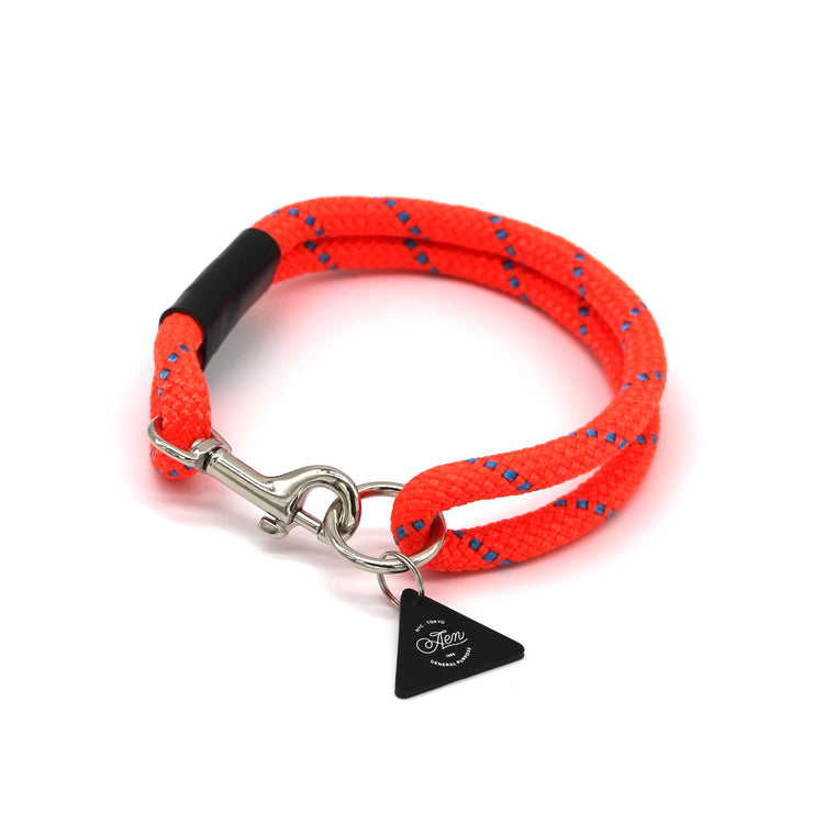 A.EN STANDARD COLLAR - ORANGE 01