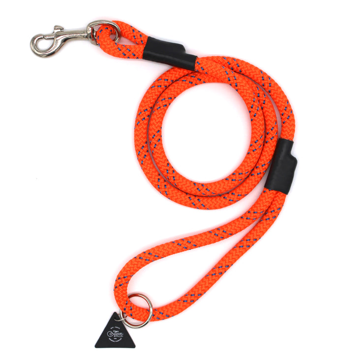 A.EN STANDARD LEASH - ORANGE 02