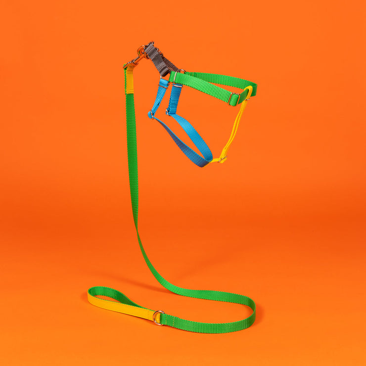 NEON COLORBLOCK HARNESS - GREEN & YELLOW & BLUE & GRAY