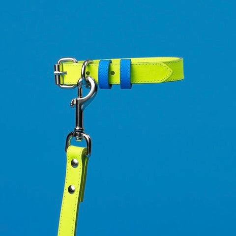 TWO TONE LEATHER COLLAR - YELLOW & BLUE
