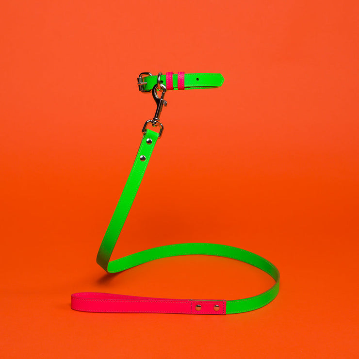 TWO TONE LEATHER LEASH - GREEN & PINK