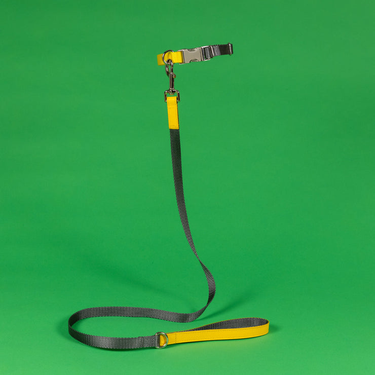 TWO TONE NYLON LEASH - GRAY & YELLOW