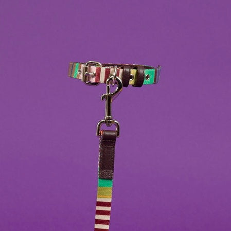 STRIPED WEBBING COLLAR- LAVENDER MULTI