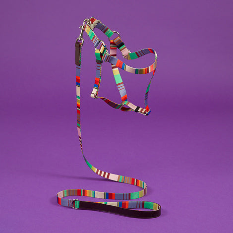 STRIPED WEBBING HARNESS - LAVENDER MULTI
