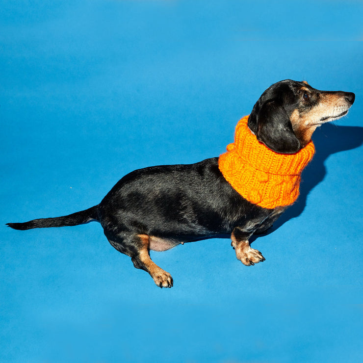 CABLE BOBBLE SNOOD - ORANGE