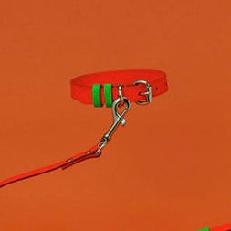 TWO TONE LEATHER LEASH - ORANGE & GREEN