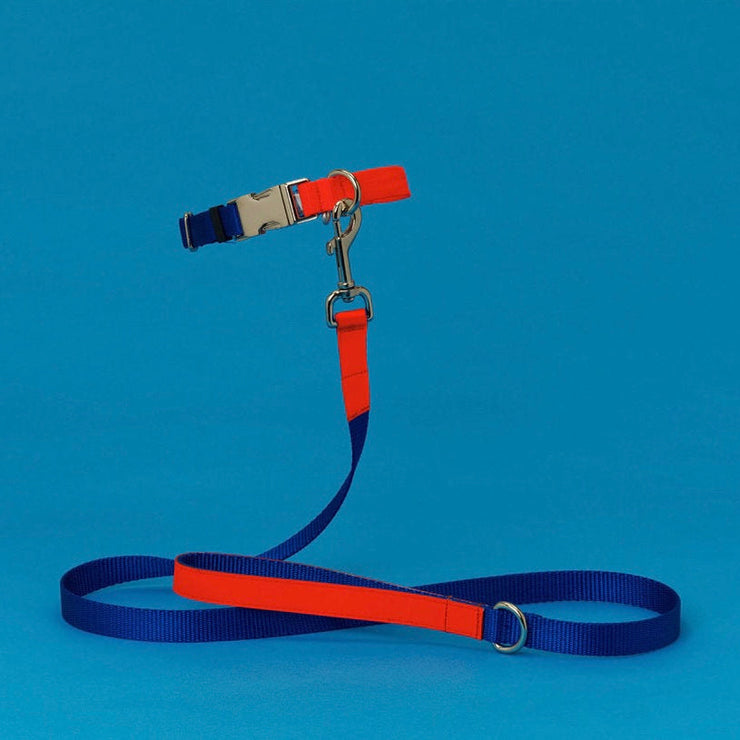 TWO TONE NYLON LEASH - BLUE & ORANGE